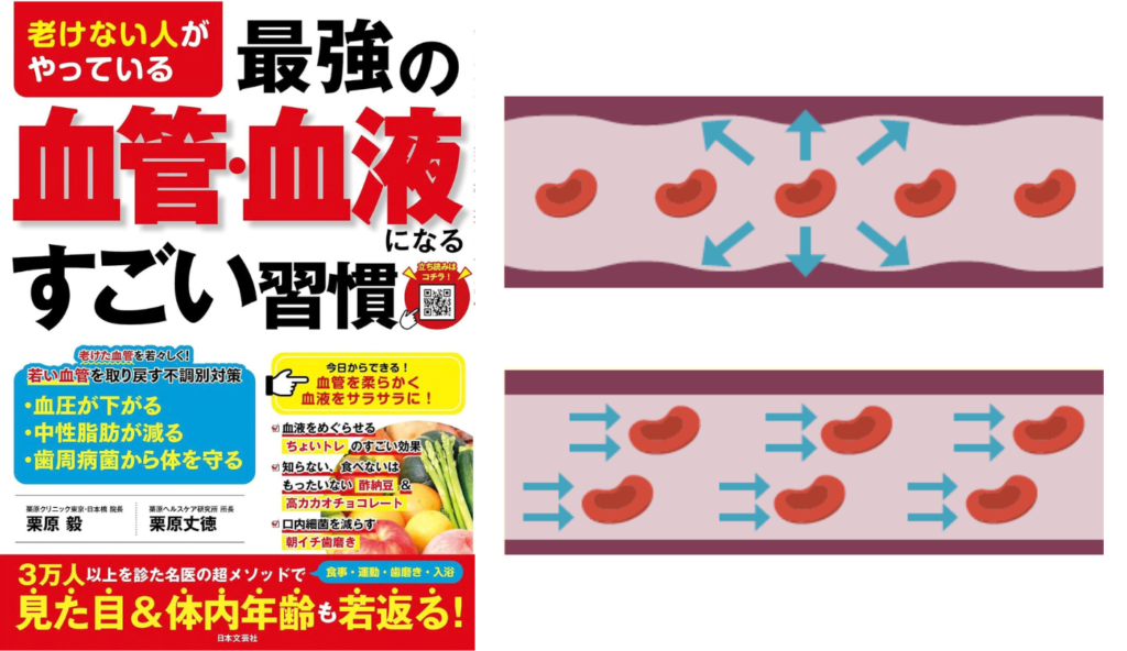 血管老化の2大原因は高血圧とドロドロ血液！しなやかさを奪う強い圧と血流悪化のメカニズム【老けない人がやっている最強の血管・血液になるすごい習慣】