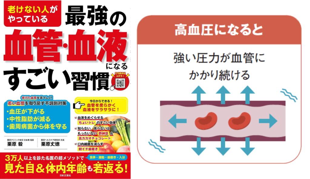 高血圧は血管を毎日10万回傷つける？強い圧力が血管老化を早めるメカニズム【老けない人がやっている最強の血管・血液になるすごい習慣】