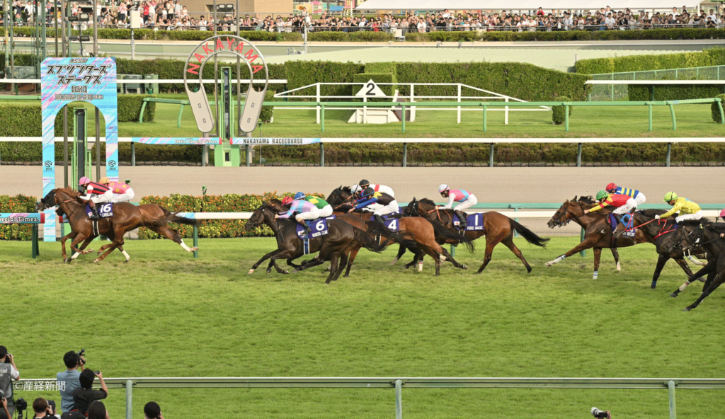 【スプリンターズステークス2026】前走G1組で上位人気なら連対率100%?短期の外国人騎手は9戦すべて着外|3連単を的中させる軸馬の狙い方