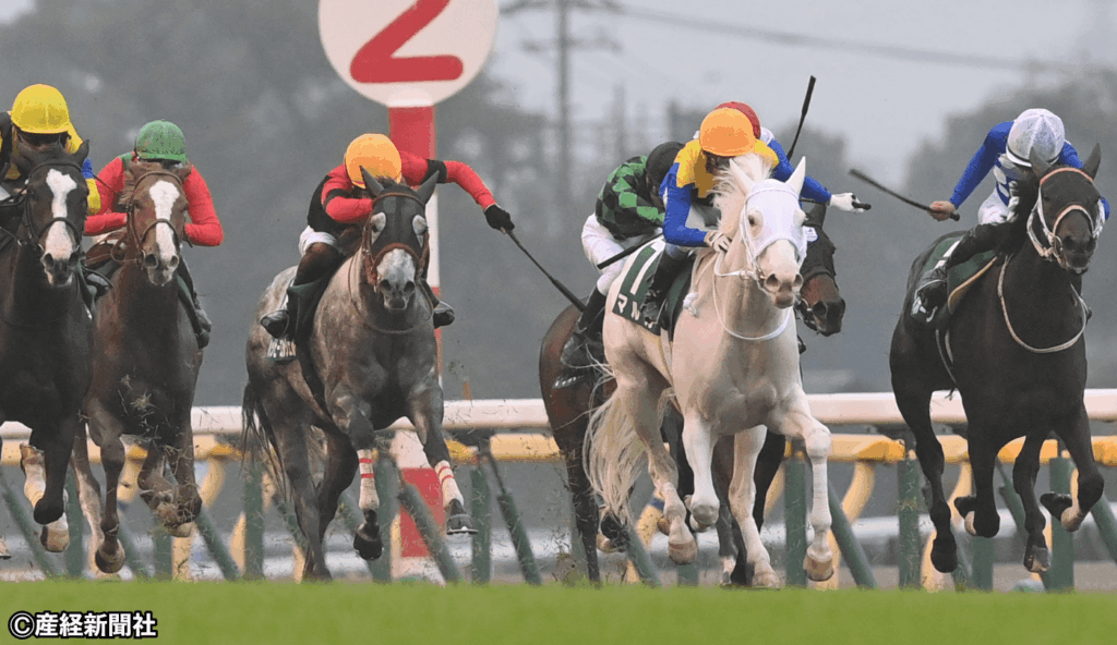 【アルテミスS 2026】②人気を軸にマルチで勝負が吉！過去10年のデータから見える３連単を的中させる戦術とは