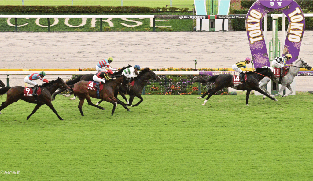 【富士ステークス2026】勝ち切るより2・3着？G1馬の「惜敗傾向」と高齢馬データ｜ＧⅠ馬で見る攻略POINT