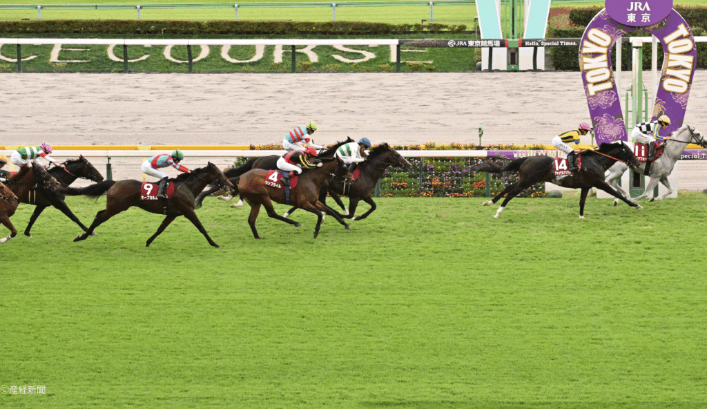 【富士ステークス2026】過去10年で10万馬券なし？1番人気と安田記念組で狙え！｜3連単を的中させる軸馬・相手馬の狙い方
