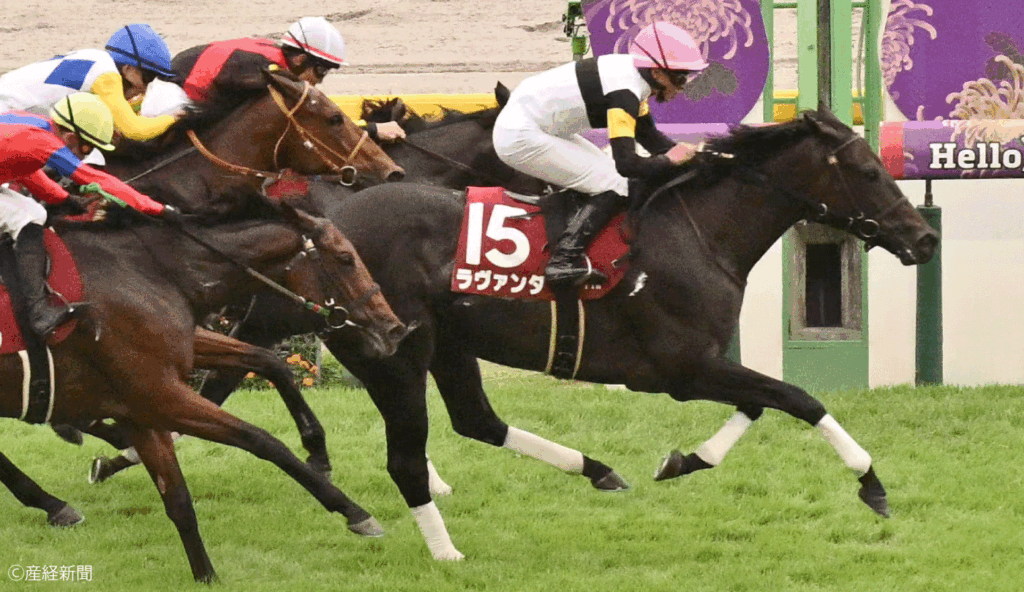 【アイルランドトロフィー2026】G1上位でも連対ゼロ？ヴィクトリアM組は苦戦｜ステップレースで見る過去10年の傾向