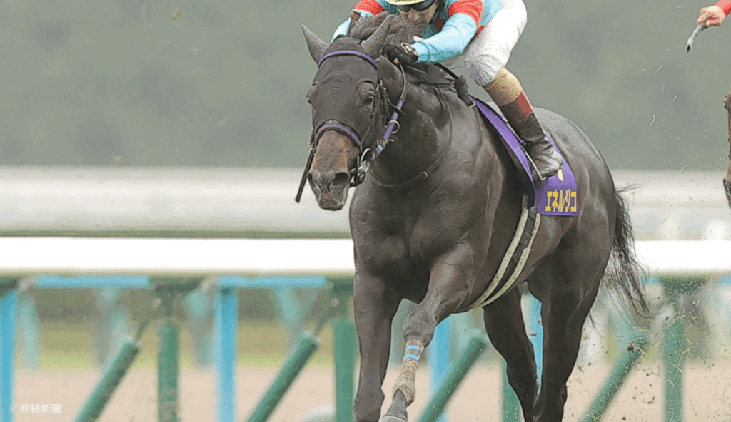 【菊花賞2026】大穴は3着候補が鉄則？3連単で高配当を生む人気と配当データ｜過去10年の傾向から見る人気と配当