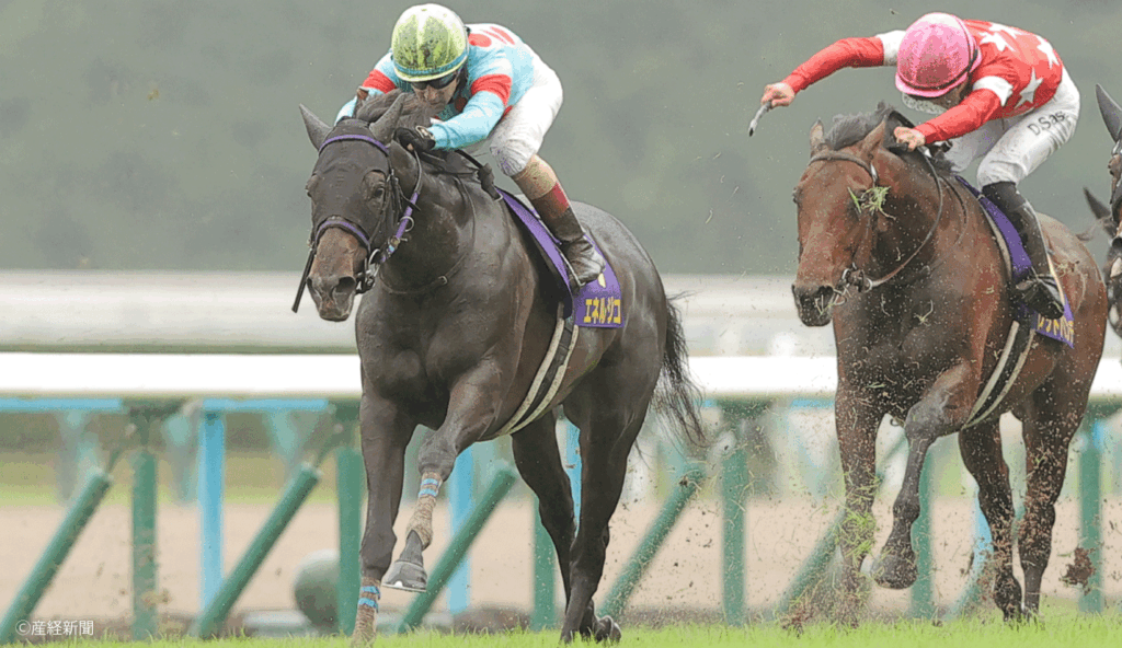 【菊花賞2026】神戸新聞杯vsセントライト記念！揃って消えない「2大トライアル」の決定的な成績差｜ステップレースから見る過去10年の傾向