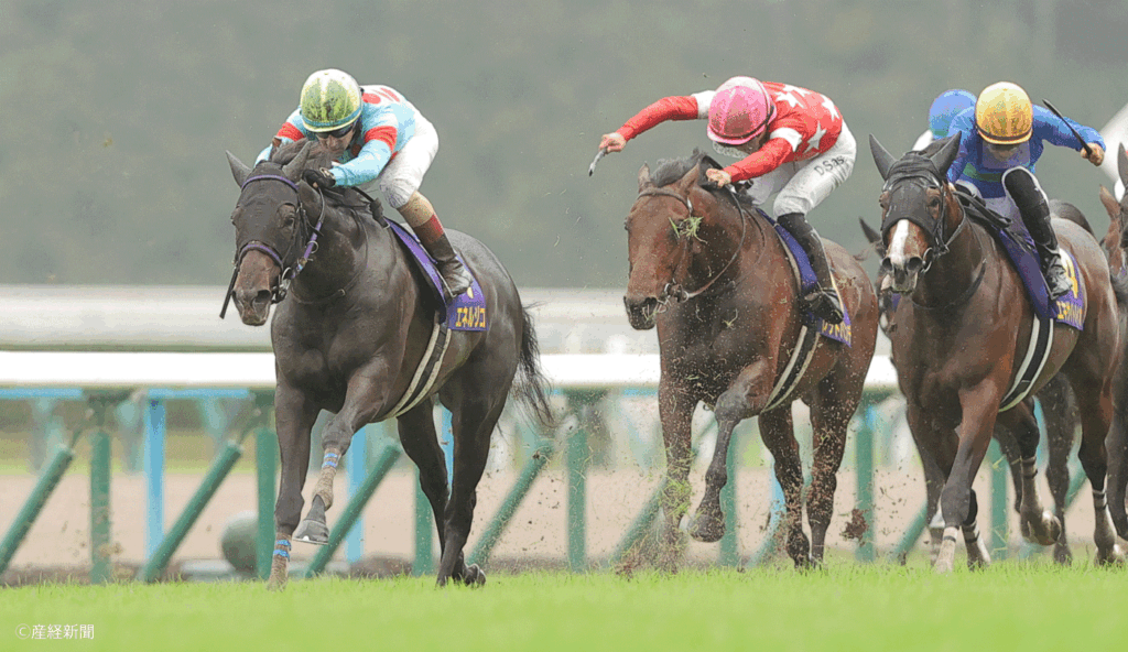 【菊花賞2026】本来走る前走最先着馬！当日①～③人気で信頼度ＵＰ｜神戸新聞杯組で見る攻略POINT