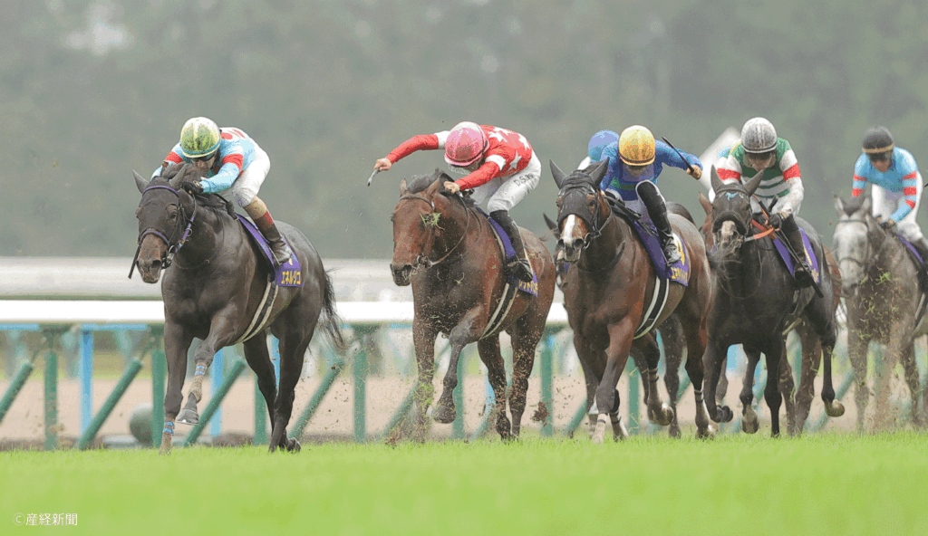 【菊花賞2026】福島ハンデＧⅢ組が穴候補！少数精鋭で馬体増なら狙える｜波乱の主役で見る攻略POINT