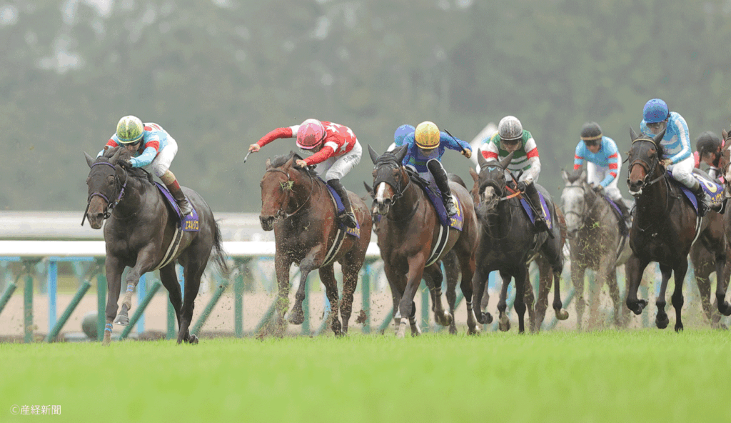 【菊花賞2026】ルメール騎手が軸に最適?信頼すべきデータと枠順の罠|3連単を的中させる軸馬の狙い方