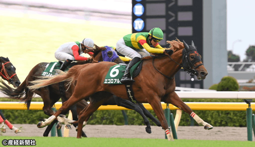 【サウジアラビアRC 2026】抜けた強さを示す前走新馬組!過去10年の傾向から見る人気と配当