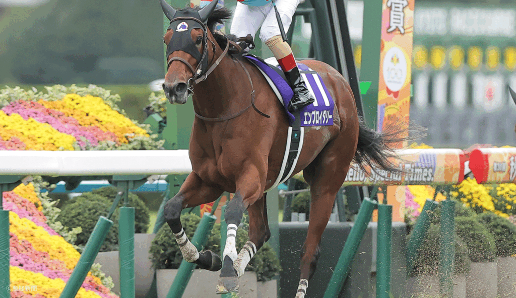 【秋華賞2026】1番人気は極端!?回収率100%超の3・4番人気が鍵を握る|過去10年の傾向から見る人気と配当