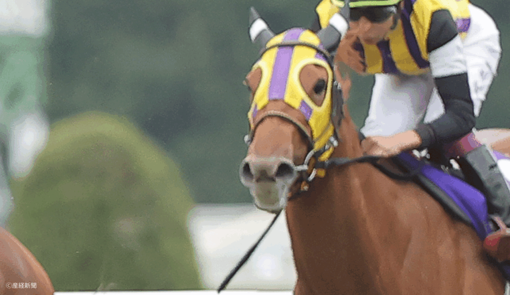 【秋華賞2026】前走①人気は勝率80%!前走1着馬も実は高確率|オークス組で見る攻略POINT