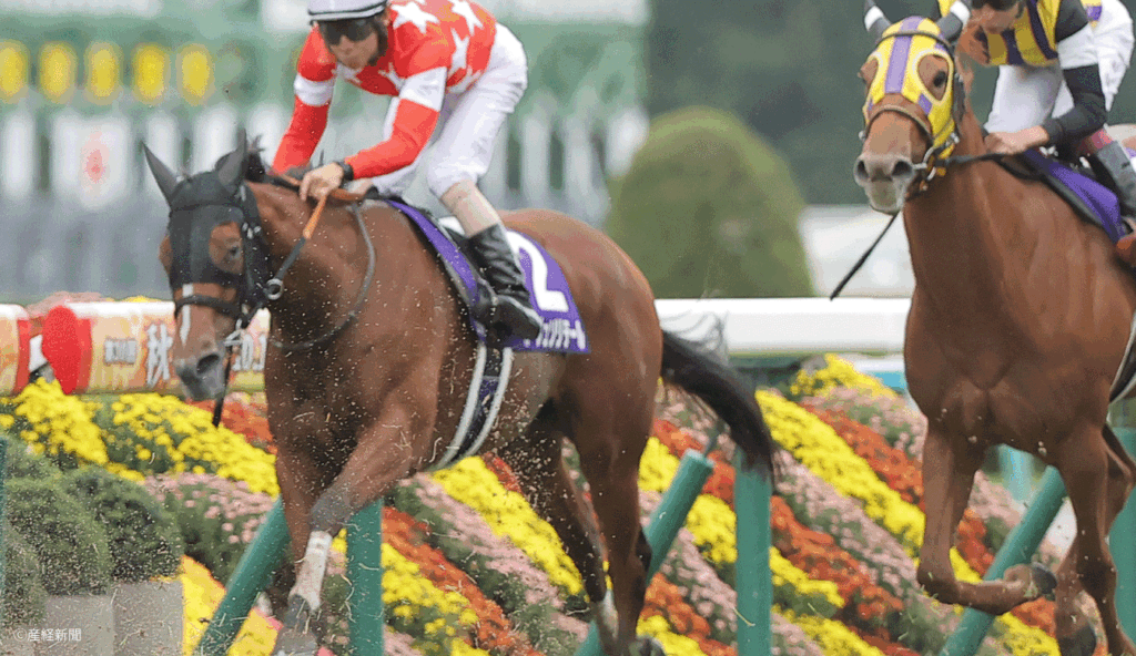 【秋華賞2026】連対馬の9割が5人気以内？オークス1着・1人気を軸に据える｜3連単を的中させる軸馬の狙い方