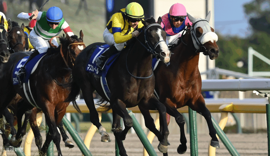 【天皇賞(秋)2026】本命決着が基本!1人気【7-1-0-2】、馬連平均2235円の実態|過去10年の傾向から見る人気と配当